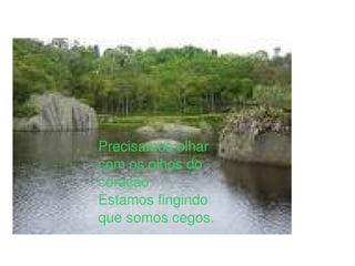 Precisamos olhar com os olhos do coração Estamos fingindo que somos cegos. 