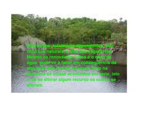 Nós somos  totalmente dependentes  dos recursos naturais, e eles são esgotáveis. Mesmo os renováveis, como é o caso da água, pode vir a faltar em conseqüência da alteração dos outros recursos. Pois na Natureza as coisas acontecem em série, isto é, se se alterar algum recurso os outros se alteram. 