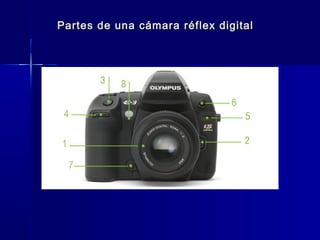 Partes de una cámara réflex digital
 