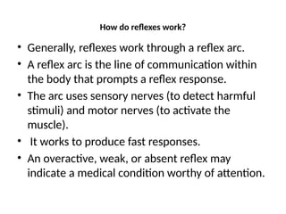 Reflexes Work Image REFLEX.pptx FOR 1ST YEAR PHYSIOLOGY .... | PPTX
