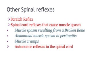 Reflex action and reflexes.pptx