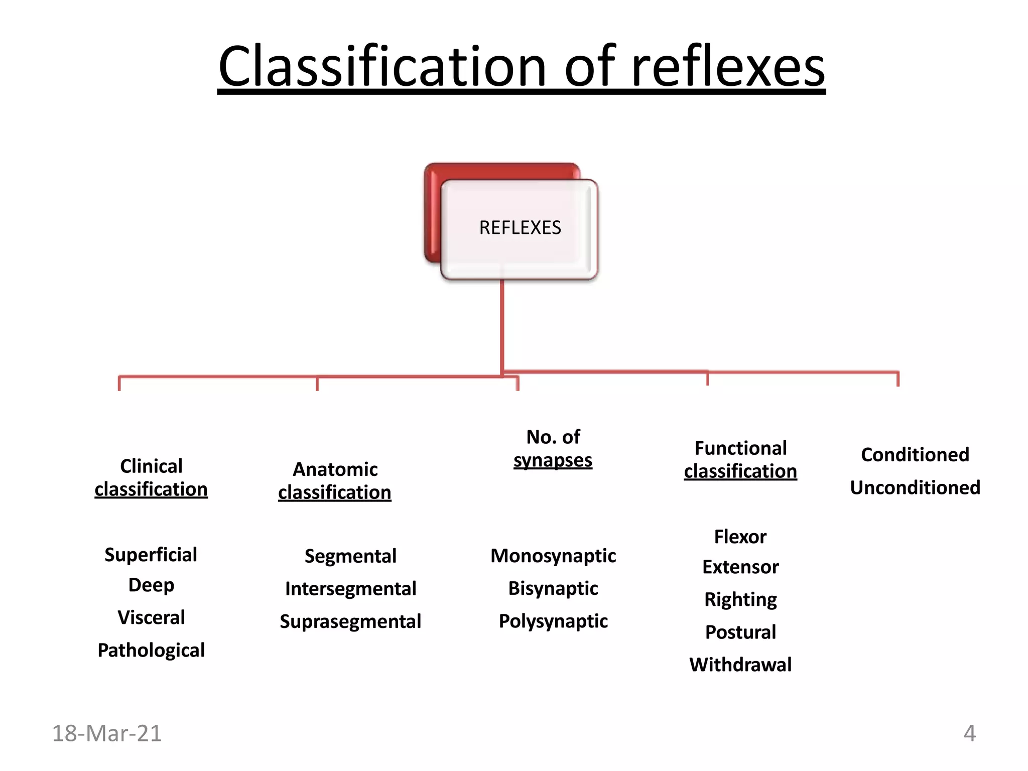 Classification of reflexes
REFLEXES
Clinical
classification
Superficial
Deep
Visceral
Pathological
Anatomic
classification
Segmental
Intersegmental
Suprasegmental
No. of
synapses
Monosynaptic
Bisynaptic
Polysynaptic
Functional
classification
Flexor
Extensor
Righting
Postural
Withdrawal
Conditioned
Unconditioned
18-Mar-21 4