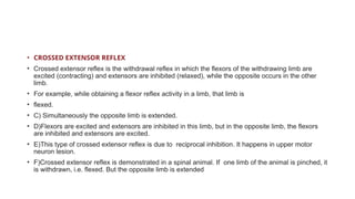 REFLEX _ACTIVITY_COMPONENTS_TYPES_TISSUES.pptx