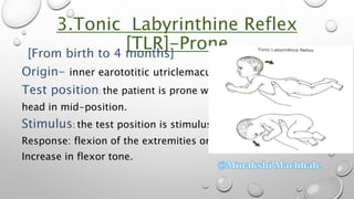 Reflex and reaction maturation | PPTX