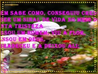 Quem sabe como, conseguiu crescer e ser um sinal de vida no meio de  tanta tristeza Passou um homem, viu a flor, pensou em Deus, agradeceu e a deixou ali;  