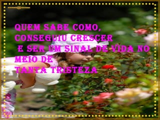Quem sabe como, conseguiu crescer e ser um sinal de vida no meio de  tanta tristeza 