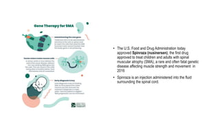 • The U.S. Food and Drug Administration today
approved Spinraza (nusinersen), the first drug
approved to treat children and adults with spinal
muscular atrophy (SMA), a rare and often fatal genetic
disease affecting muscle strength and movement in
2016
• Spinraza is an injection administered into the fluid
surrounding the spinal cord.
 