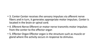• 3. Center Center receives the sensory impulses via afferent nerve
fibers and in turn, it generates appropriate motor impulses. Center is
located in the brain or spinal cord.
• 4. Efferent Nerve Efferent or motor nerve transmits motor impulses
from the center to the effector organ
• 5. Effector Organ Effector organ is the structure such as muscle or
gland where the activity occurs in response to stimulus.
 