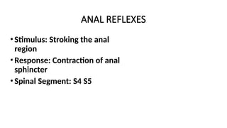 ANAL REFLEXES
•Stimulus: Stroking the anal
region
•Response: Contraction of anal
sphincter
•Spinal Segment: S4 S5
 