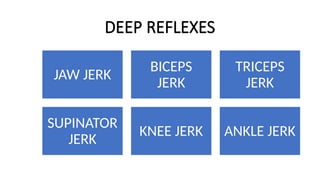 DEEP REFLEXES
JAW JERK
BICEPS
JERK
TRICEPS
JERK
SUPINATOR
JERK
KNEE JERK ANKLE JERK
 