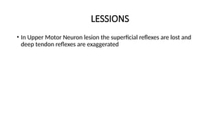 LESSIONS
• In Upper Motor Neuron lesion the superficial reflexes are lost and
deep tendon reflexes are exaggerated
 