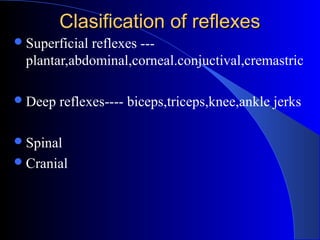 Reflexes | PPT