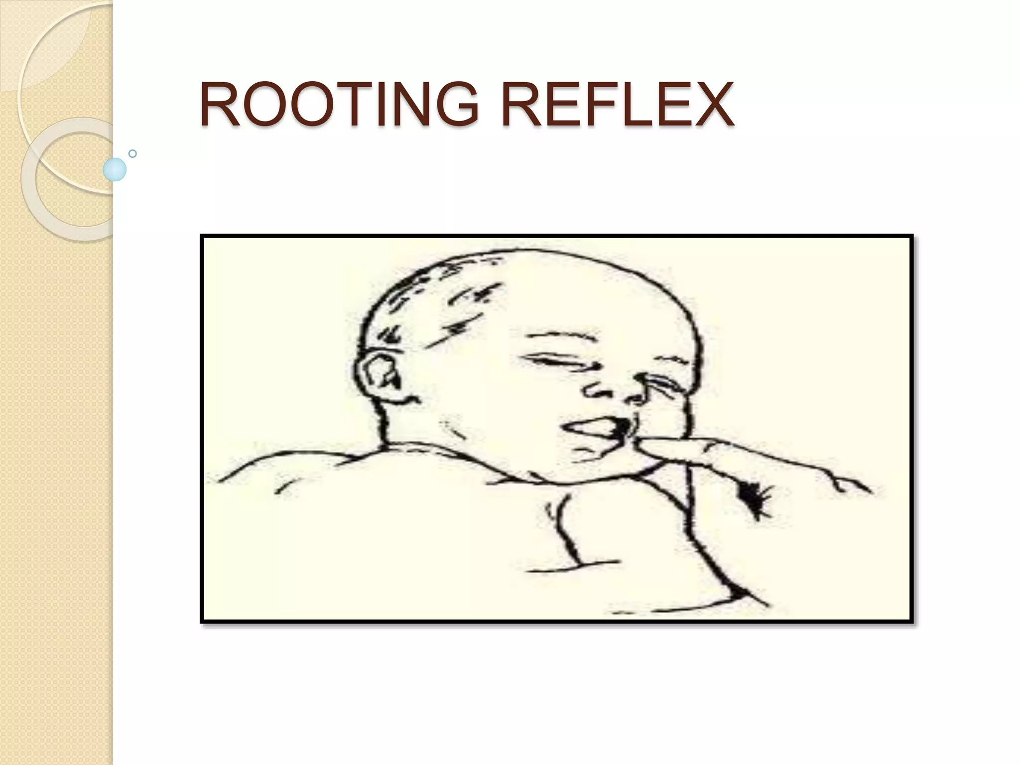 Reflexes | PPTX