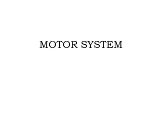 MOTOR SYSTEM
 