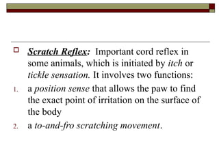 Reflexes .pptx
