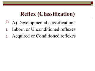Reflexes .pptx