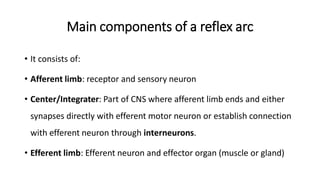 Reflexes.pdf............................. | PDF