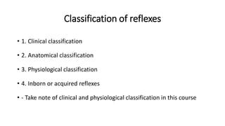 Reflexes.pdf............................. | PDF