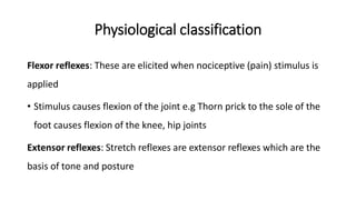 Reflexes.pdf............................. | PDF