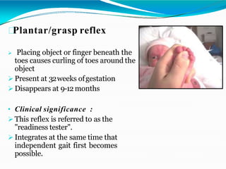 Plantar/grasp reflex
 Placing object or finger beneath the
toes causes curling of toes around the
object
 Present at 32weeks ofgestation
 Disappears at 9-12 months
• Clinical significance :
 This reflex is referred to as the
"readiness tester".
 Integrates at the same time that
independent gait first becomes
possible.
 