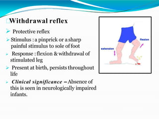 Withdrawal reflex
 Protective reflex
 Stimulus :a pinprick or asharp
painful stimulus to sole of foot
 Response :flexion & withdrawal of
stimulated leg
 Present at birth, persists throughout
life
 Clinical significance – Absence of
this is seen in neurologically impaired
infants.
 