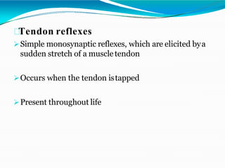 Tendon reflexes
Simple monosynaptic reflexes, which are elicited bya
sudden stretch of a muscletendon
Occurs when the tendon istapped
Present throughout life
 