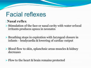 Facial reflexes
Nasal reflex
 Stimulation of the face or nasal cavity with water orlocal
irritants produces apnea in neonates
 Breathing stops in expiration with laryngeal closure in
infants – bradycardia & lowering of cardiac output
 Blood flow to skin, splanchnic areas muscles & kidney
decreases
 Flow to the heart & brain remains protected
 