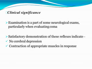 Clinical significance
Examination is a part of some neurological exams,
particularly when evaluatingcoma
Satisfactory demonstration of these reflexes indicate–
 No cerebral depression
 Contraction of appropriate muscles in response
 