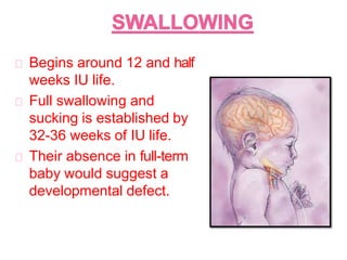 Begins around 12 and half
weeks IU life.
Full swallowing and
sucking is established by
32-36 weeks of IU life.
Their absence in full-term
baby would suggest a
developmental defect.
 