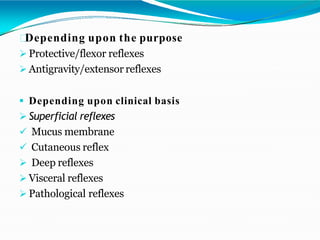 Depending upon the purpose
 Protective/flexor reflexes
 Antigravity/extensor reflexes
 Depending upon clinical basis
 Superficial reflexes
 Mucus membrane
 Cutaneous reflex
 Deep reflexes
 Visceral reflexes
 Pathological reflexes
 