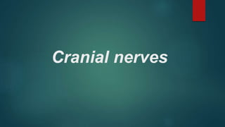 Cranial nerves
 