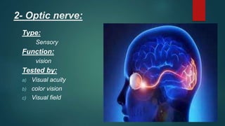 2- Optic nerve:
Type:
Sensory
Function:
vision
Tested by:
a) Visual acuity
b) color vision
c) Visual field
 