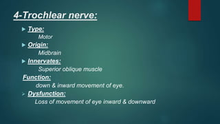 4-Trochlear nerve:
 Type:
Motor
 Origin:
Midbrain
 Innervates:
Superior oblique muscle
Function:
down & inward movement of eye.
 Dysfunction:
Loss of movement of eye inward & downward
 