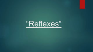 “Reflexes”
 