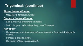 Trigeminal: (continue)
Motor innervation to:
 Masseter & temporal muscle
Sensory innervation to:
 Skin & mucous membrane in heads;
 teeth , tongue , external auditory canal & cornea.
Function:
 Chewing movement by innervation of masseter, temporal & pterygoid
muscle.
 Corneal & sneeze reflex.
 Sensation of face , scalp & teeth.
 