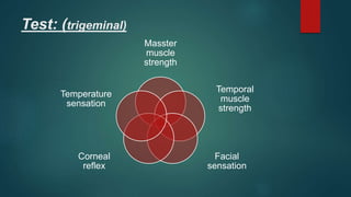 Test: (trigeminal)
Masster
muscle
strength
Temporal
muscle
strength
Facial
sensation
Corneal
reflex
Temperature
sensation
 
