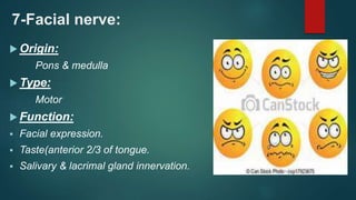 7-Facial nerve:
 Origin:
Pons & medulla
 Type:
Motor
 Function:
 Facial expression.
 Taste(anterior 2/3 of tongue.
 Salivary & lacrimal gland innervation.
 