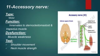 11-Accessory nerve:
Type:
Motor
Function:
Innervates to sternocleidomastoid &
trapezius muscle.
Dysfunction:
Muscle weakness
Test:
 Shoulder movement
 Neck muscle strength
 