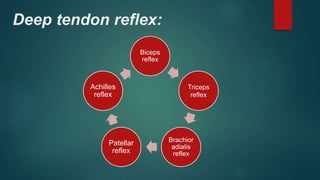 Deep tendon reflex:
Biceps
reflex
Triceps
reflex
Brachior
adialis
reflex
Patellar
reflex
Achilles
reflex
 