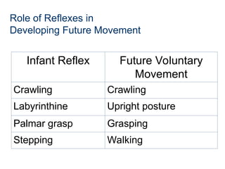 Reflexes and Stereotypies occupational therapy web.ppt