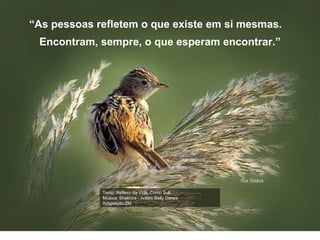 Texto: Reflexo da Vida, Conto Sufi Música: Shakhira - Arabic Belly Dance Adaptação:ZM “ As pessoas refletem o que existe em si mesmas.  Encontram, sempre, o que esperam encontrar.” 