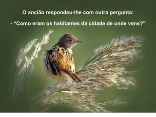 O ancião respondeu-lhe com outra pergunta: - “Como eram os habitantes da cidade de onde vens?” 