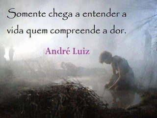 Reflexões espiritas e espiritualistas