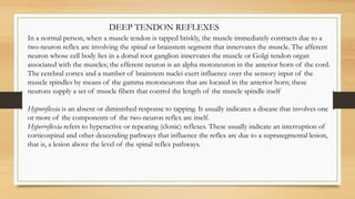 DEEP TENDON REFLEXES
In a normal person, when a muscle tendon is tapped briskly, the muscle immediately contracts due to a
two-neuron reflex arc involving the spinal or brainstem segment that innervates the muscle. The afferent
neuron whose cell body lies in a dorsal root ganglion innervates the muscle or Golgi tendon organ
associated with the muscles; the efferent neuron is an alpha motoneuron in the anterior horn of the cord.
The cerebral cortex and a number of brainstem nuclei exert influence over the sensory input of the
muscle spindles by means of the gamma motoneurons that are located in the anterior horn; these
neurons supply a set of muscle fibers that control the length of the muscle spindle itself
Hyporeflexia is an absent or diminished response to tapping. It usually indicates a disease that involves one
or more of the components of the two-neuron reflex arc itself.
Hyperreflexia refers to hyperactive or repeating (clonic) reflexes. These usually indicate an interruption of
corticospinal and other descending pathways that influence the reflex arc due to a suprasegmental lesion,
that is, a lesion above the level of the spinal reflex pathways.
 