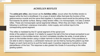 The ankle jerk reflex, also known as the Achilles reflex, occurs when the Achilles tendon is
tapped while the foot is dorsiflexed. It is a type of stretch reflex that tests the function of the
gastrocnemius muscle and the nerve that supplies it. A positive result would be the jerking of the
foot towards its plantar surface. Being a deep tendon reflex, it is monosynaptic. It is also a stretch
reflex. These are monosynaptic spinal segmental reflexes. When they are intact, integrity of the
following is confirmed: cutaneous innervation, motor supply, and cortical input to the
corresponding spinal segment.
This reflex is mediated by the S1 spinal segment of the spinal cord.
Ankle of the patient is relaxed. It is helpful to support the ball of the foot at least somewhat to put
some tension in the Achilles tendon, but don’t completely dorsiflex the ankle. A small strike is
given on the Achilles tendon using a rubber hammer to elicit the response. If the practitioner is
not able to elicit a response, a Jendrassik maneuver can be tried by having the patient cup their
fingers on each hand and try to pull the hands apart. A positive response is marked by a brisk
plantarflexion of the foot. The response is also graded into Grade 0-4 according to the reflex
grading system.
ACHILLES REFLEX
 