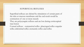 SUPERFICIAL REFLEXES
Superficial reflexes are elicited by stimulation of certain parts of
the skin or mucous membrane and the end result would be
contraction of one or more muscle
They are polysynaptic reflexes and are lost during corticospinal
tract lesion
Corneal reflexes conjunctival reflex pharyngeal reflex scapular
reflex abdominal reflex cremastric reflex anal reflex
 