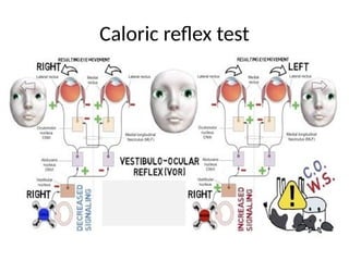 The ocular reflexes in ophthalmology.pptx