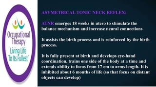 Atnr Testing Normal Motor Development Infant | PPTX