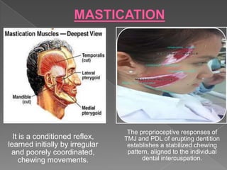 Reflexes present at birth | PPTX