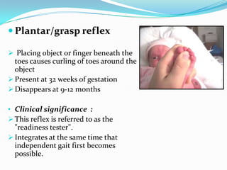  Plantar/grasp reflex
 Placing object or finger beneath the
toes causes curling of toes around the
object
 Present at 32 weeks of gestation
 Disappears at 9-12 months
• Clinical significance :
 This reflex is referred to as the
"readiness tester".
 Integrates at the same time that
independent gait first becomes
possible.
 